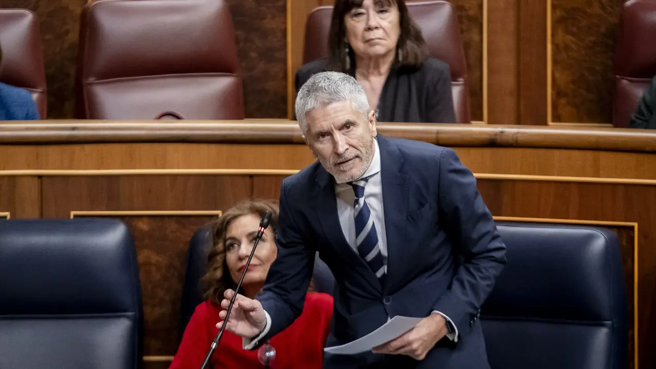 El ministro del Interior, Fernando Grande-Marlaska, interviene durante la sesi&oacute;n plenaria en el Congreso de los Diputados. EP / A. P&eacute;rez Meca