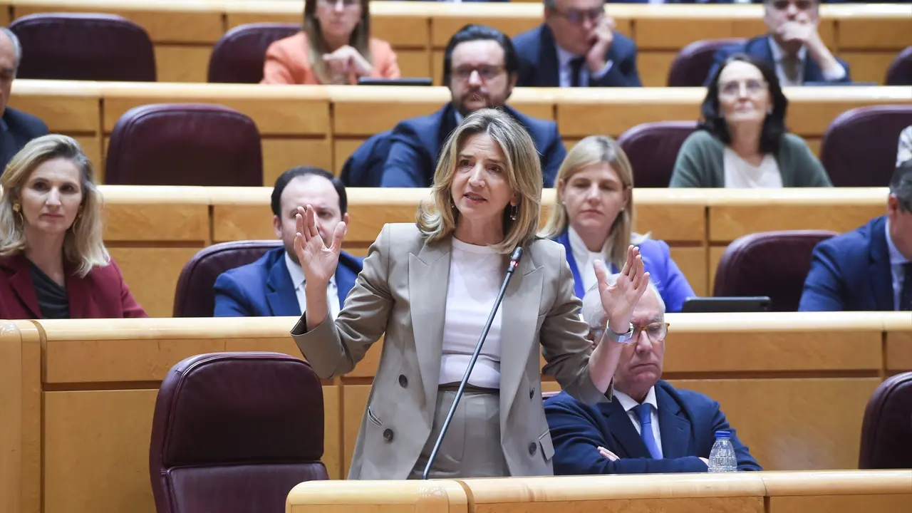 La portavoz del Partido Popular en el Senado, Alicia Garc&iacute;a Rodr&iacute;guez, durante una sesi&oacute;n de control al Gobierno. EP / Gustavo Valiente