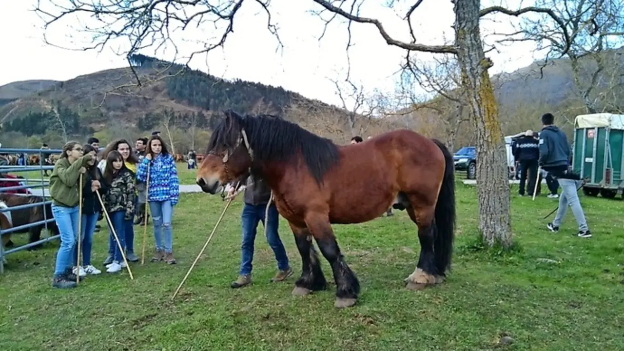 J&oacute;venes admirando un caballo en la Feria de San Jos&eacute; en Ruente, 2018, capturando un momento de conexi&oacute;n entre humanos y animales en esta celebraci&oacute;n tradicional que refleja la rica cultura y la pasi&oacute;n ecuestre de la regi&oacute;n. / A.E.