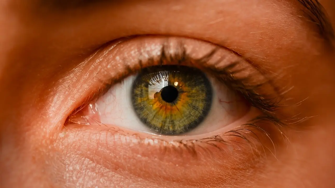 El ojo de una persona. EP