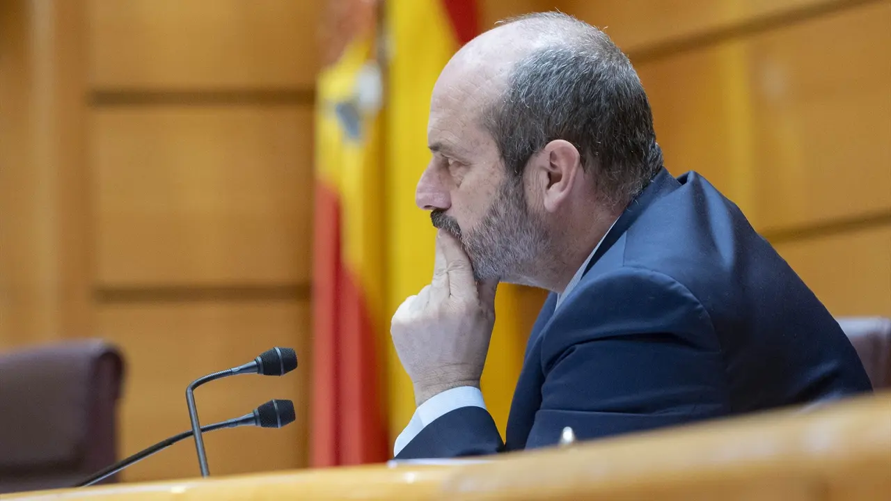 El presidente del Senado, Pedro Roll&aacute;n, durante una sesi&oacute;n de control al Gobierno, en el Senado. EP / Alberto Ortega