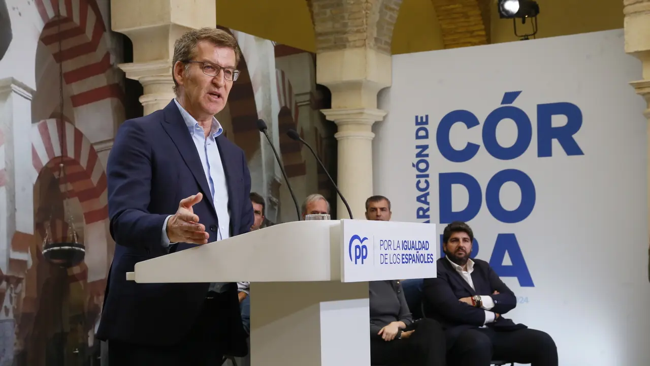 El presidente del PP, Alberto N&uacute;&ntilde;ez Feij&oacute;o, interviene durante la clausura el acto de presentaci&oacute;n de la 'Declaraci&oacute;n de C&oacute;rdoba'. EP / Madero Cubero