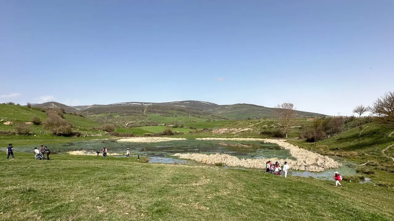 Trabajos de recuperaci&oacute;n en la zona del lago de Las Sanguijuelas. / Alerta