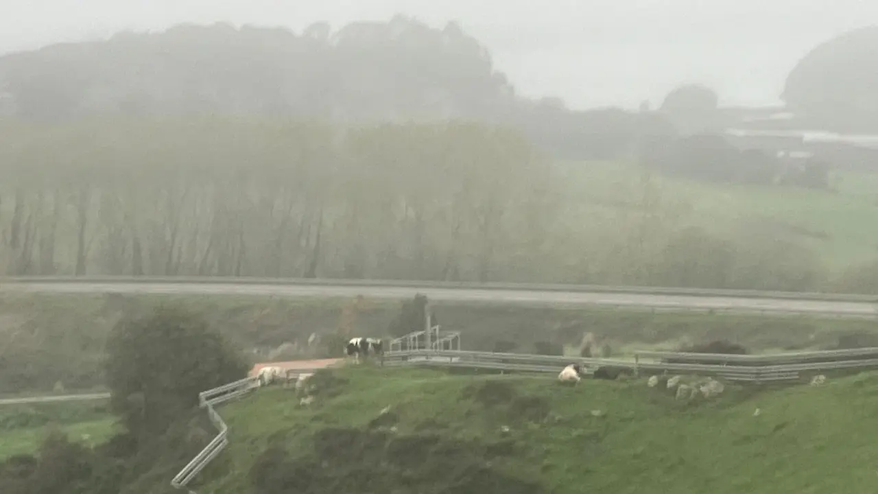 La niebla ha sido protagonista durante el d&iacute;a en la regi&oacute;n. / S.D.