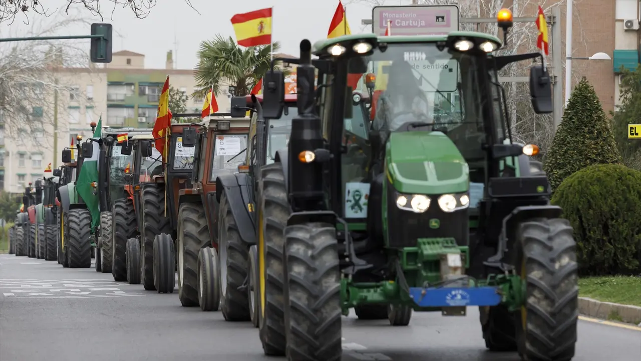 Agricultores protestan durante la tractorada en el centro de Granada. EP / &Aacute;lex C&aacute;mara