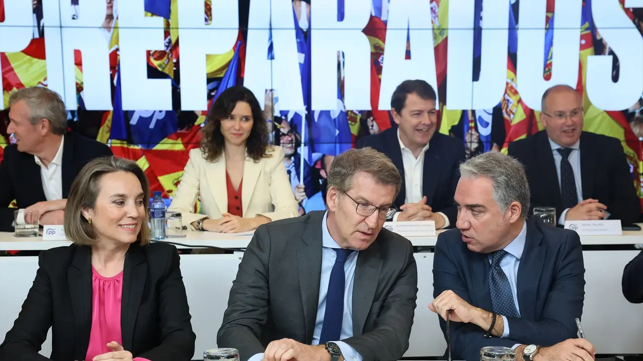 El presidente del PP, Alberto N&uacute;&ntilde;ez Feij&oacute;o (c y en primera fila, junto a presidentes auton&oacute;micos del PP en la segunda fila. Marta Fern&aacute;ndez / Archivo