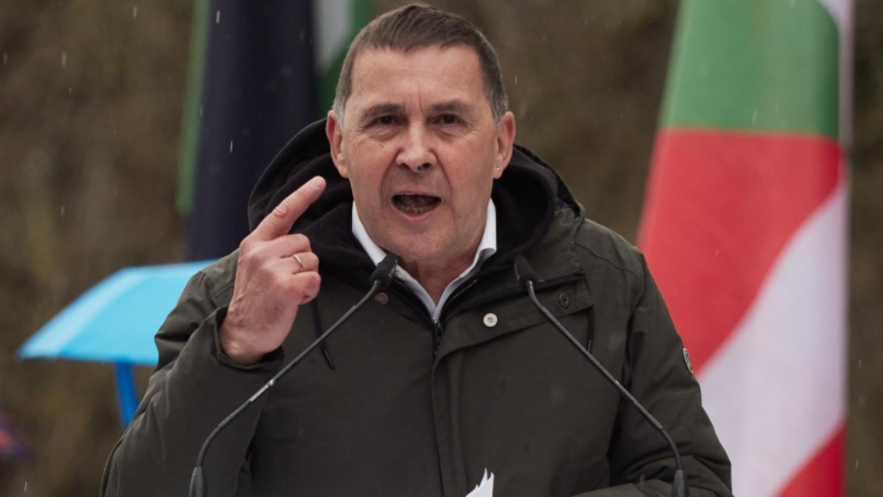 El coordinador general de Bildu, Arnaldo Otegi. / EP