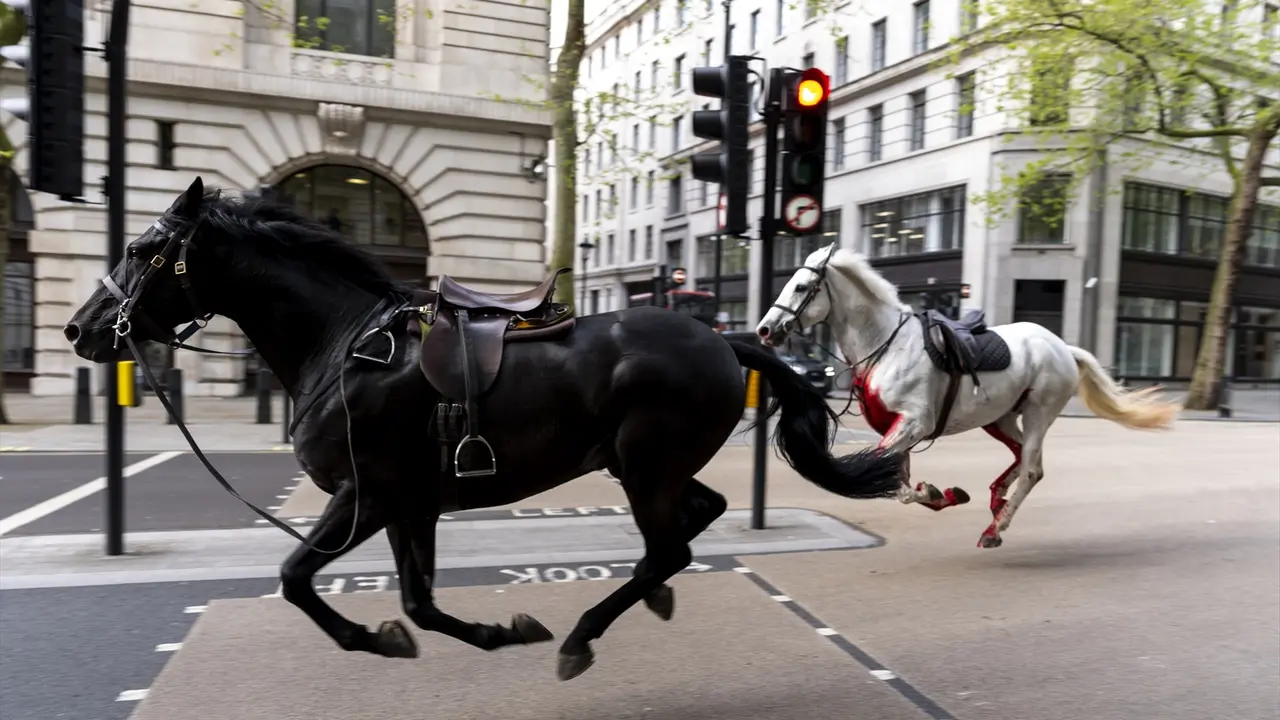 Dos caballos desbocados por las calles de Londres. / Jordan Pettitt