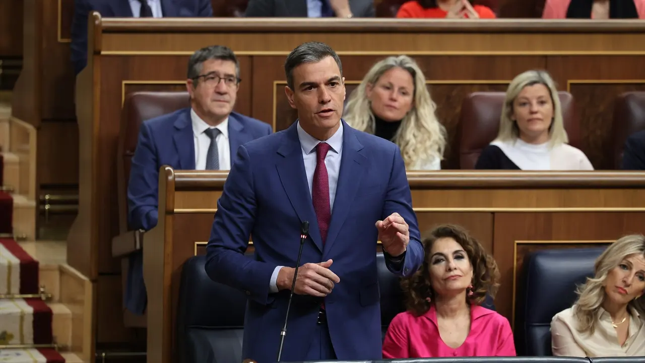 El presidente del Gobierno, Pedro S&aacute;nchez, interviene durante una sesi&oacute;n de control al Gobierno. Jes&uacute;s Hell&iacute;n