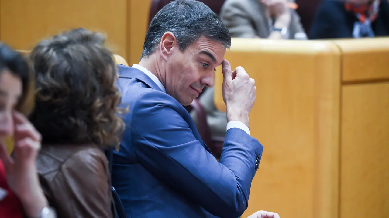 El presidente del Gobierno, Pedro S&aacute;nchez, durante una sesi&oacute;n de control al Gobierno, en el Senado. / Alerta