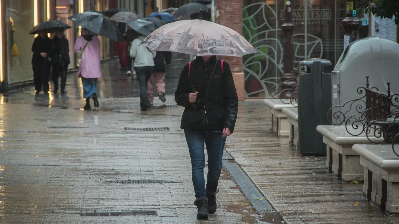Varias personas se protegen de la lluvia bajo sus paraguas. / Mar&iacute;a Jos&eacute; L&oacute;pez