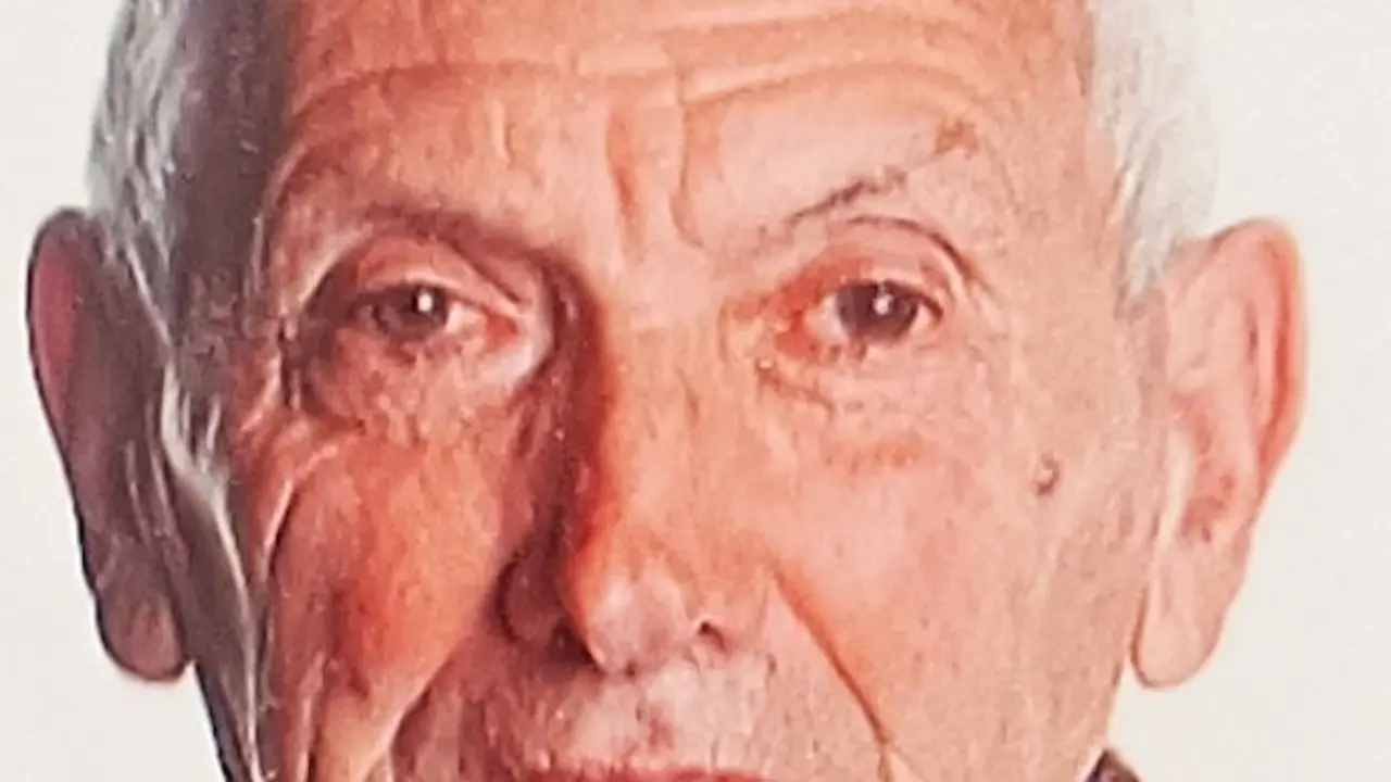 ANDRES PEREZ PELAYO