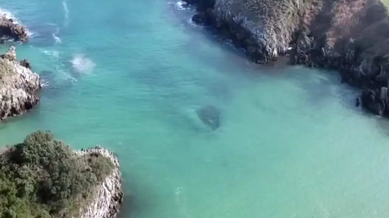 El tesoro natural de Cantabria. / Alerta