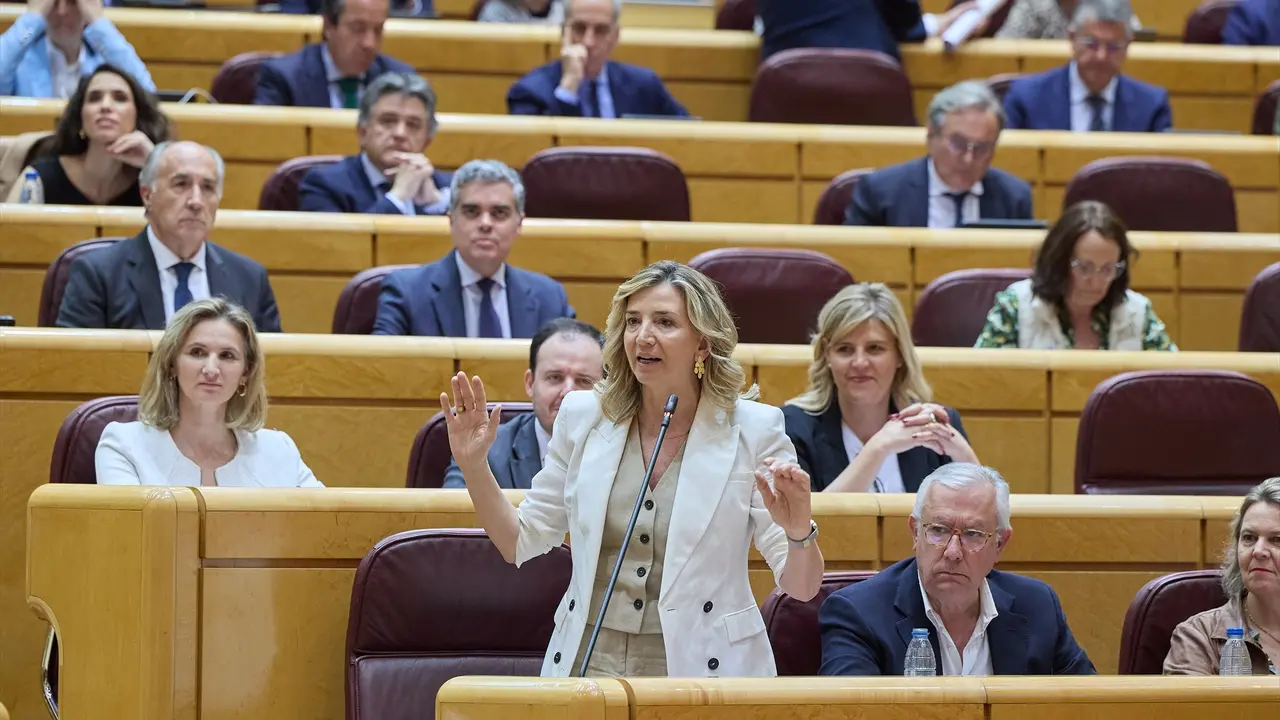 La portavoz del Partido Popular en el Senado, Alicia Garc&iacute;a Rodr&iacute;guez, interviene durante una sesi&oacute;n de Control en el Senado. Jes&uacute;s Hell&iacute;n / Archivo