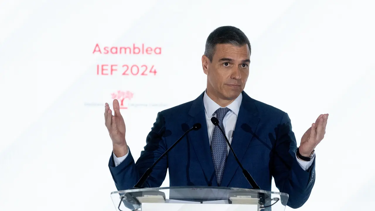 El presidente del Gobierno, Pedro S&aacute;nchez. / Alerta