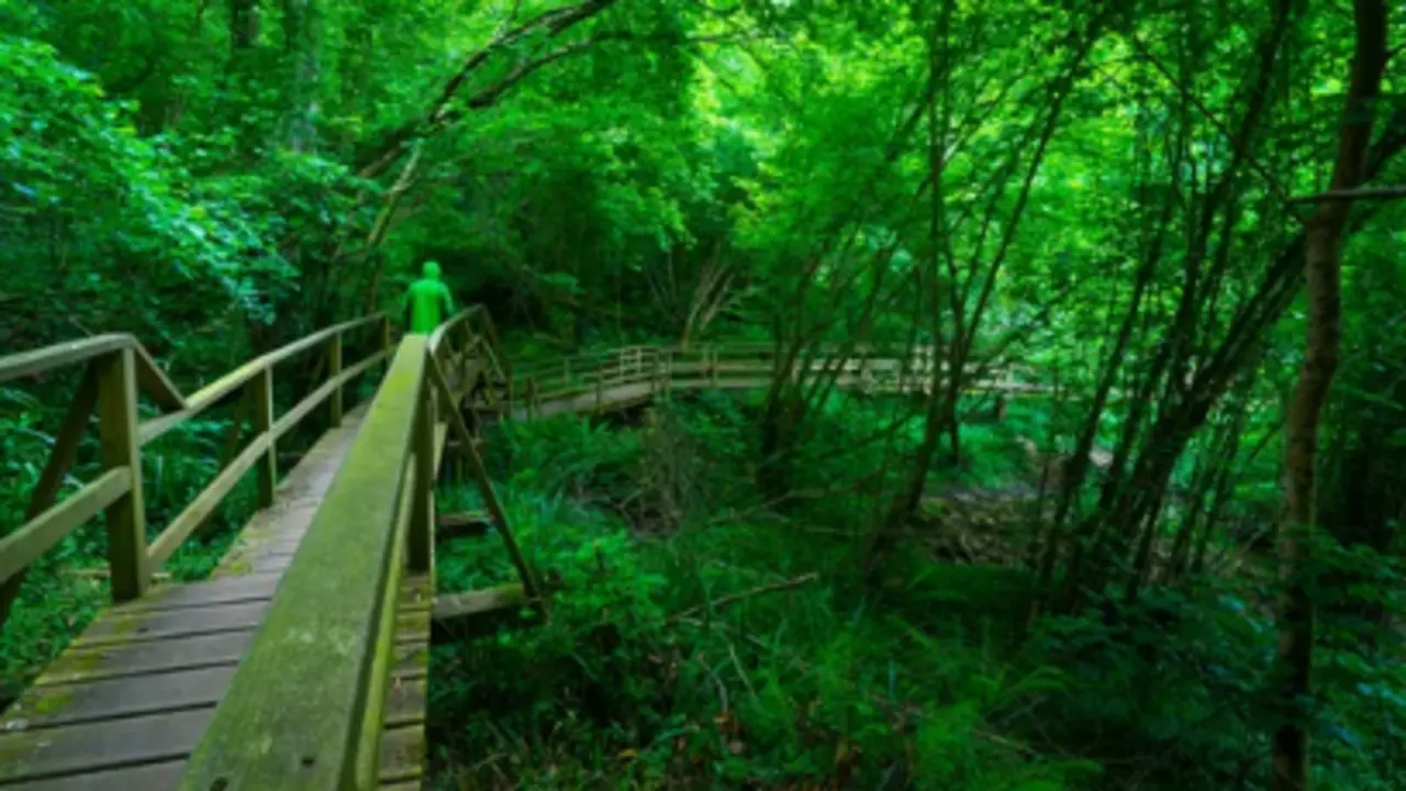 A trav&eacute;s de estos senderos conocer&aacute;s los paisajes m&aacute;s bonitos de Cantabria. / A.S.