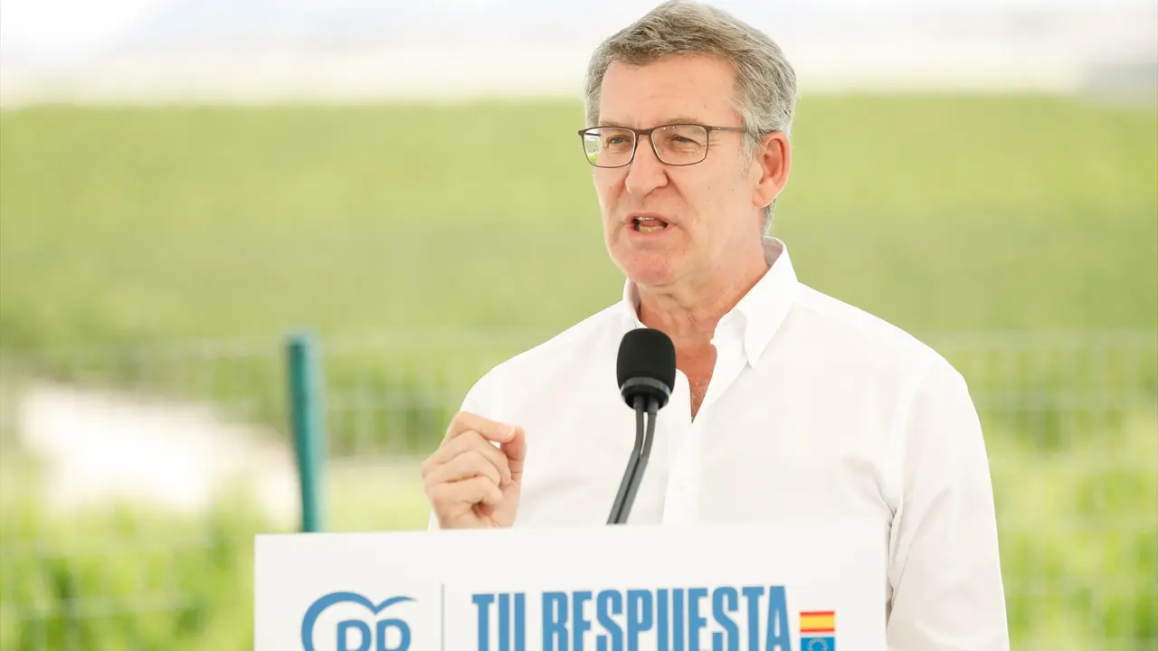 El presidente del Partido Popular, Alberto N&uacute;&ntilde;ez Feij&oacute;o, interviene durante un acto del Partido Popular. Edu Botella