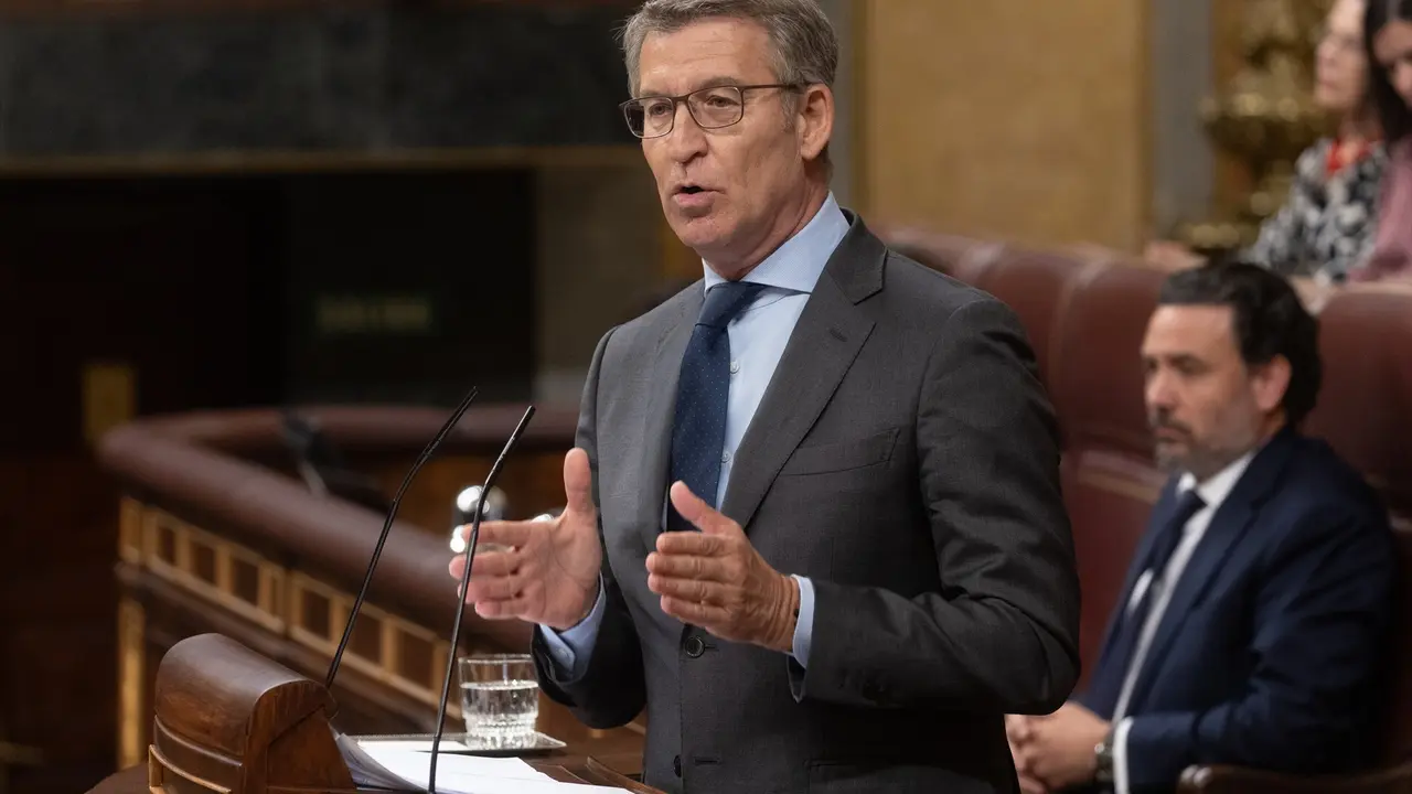 El l&iacute;der del PP, Alberto N&uacute;&ntilde;ez Feij&oacute;o, interviene durante un pleno en el Congreso de los Diputados. Eduardo Parra