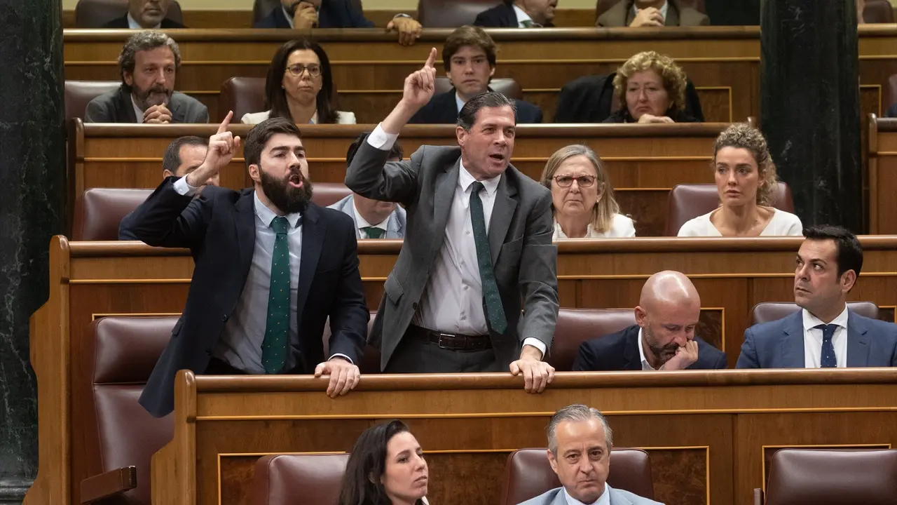 Los diputados de VOX Manuel Mariscal (i) y Pedro Fern&aacute;ndez (d) responden a un diputado del PSOE, durante un pleno en el Congreso de los Diputados. Eduardo Parra