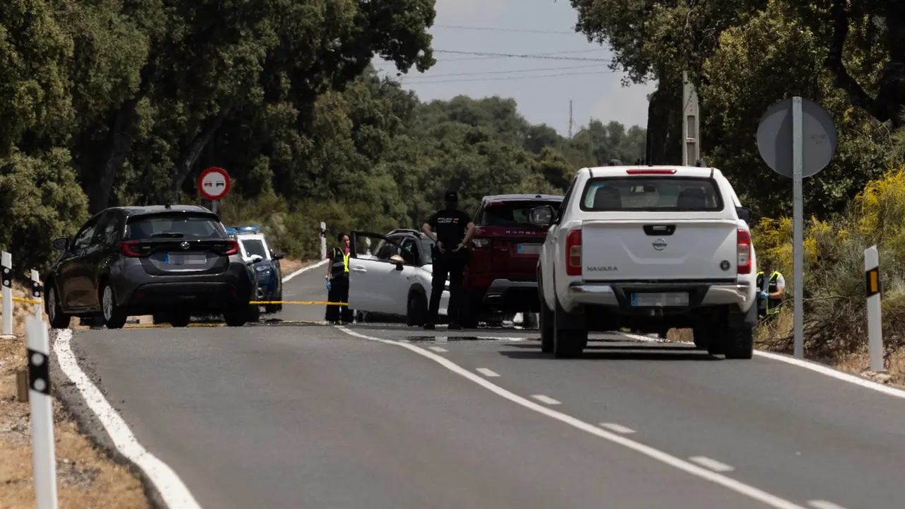 Agentes de la Polic&iacute;a Nacional trabaja en el lugar de los hechos, en el kil&oacute;metro 6 de la M-612, en la carretera de Fuencarral-El Pardo. Alejandro Mart&iacute;nez V&eacute;lez