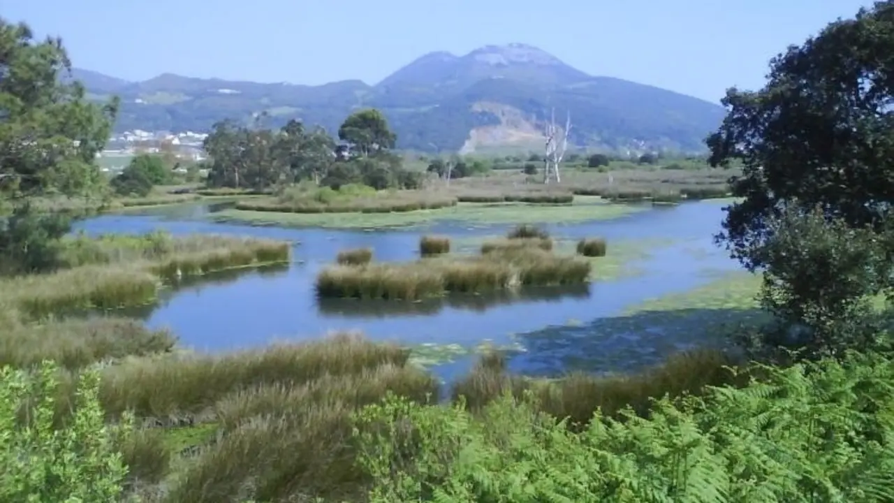 Marismas De Santo&ntilde;a. / Alerta