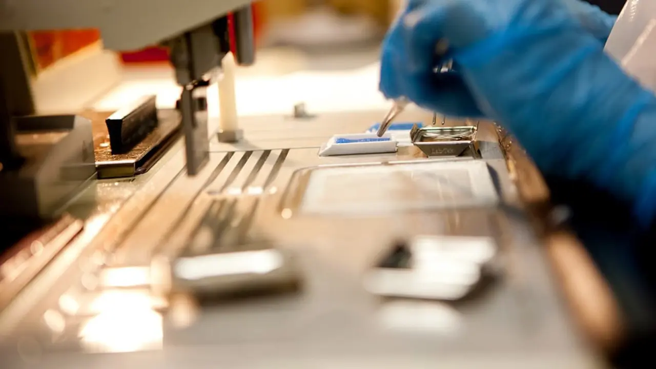Imagen de trabajo en un laboratorio para la investigaci&oacute;n que estudiar&aacute; nuevas dianas terap&eacute;uticas para la diabetes tipo 2. EP