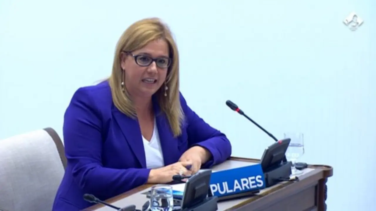 La senadora por Cantabria, Elena Castillo. / A.E.