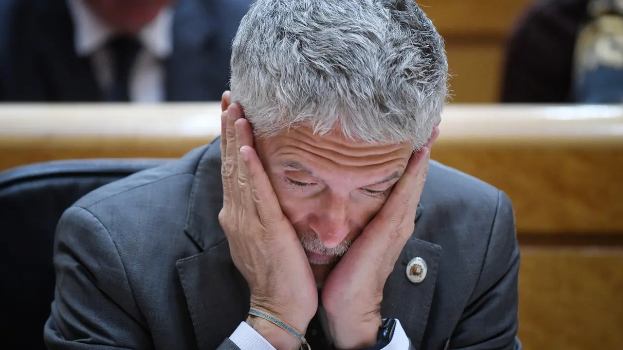 El ministro del Interior, Fernando Grande-Marlaska, durante una sesi&oacute;n de control al Gobierno. Fernando S&aacute;nchez
