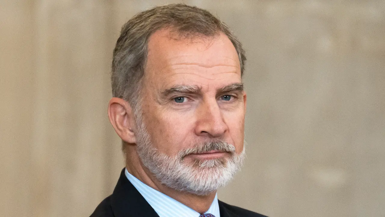 El Rey Felipe VI. / EP