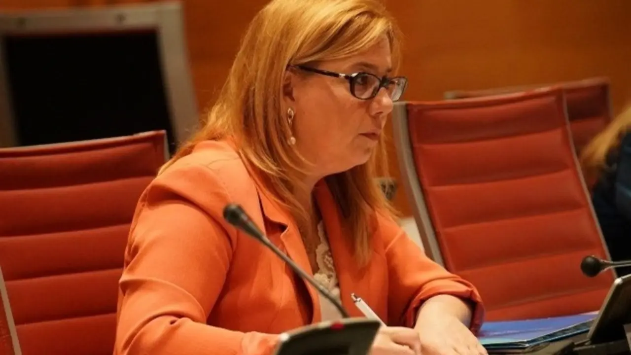 La portavoz del Partido Popular (PP) en la Comisi&oacute;n de Ciencia, Innovaci&oacute;n y Universidades del Senado, Elena Castillo. EP