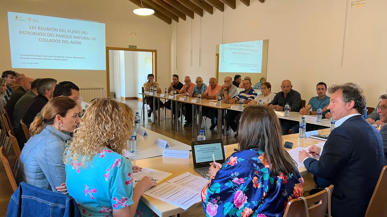 Reuni&oacute;n del Patronato del Parque Natural de los Collados del As&oacute;n. /  A.E.