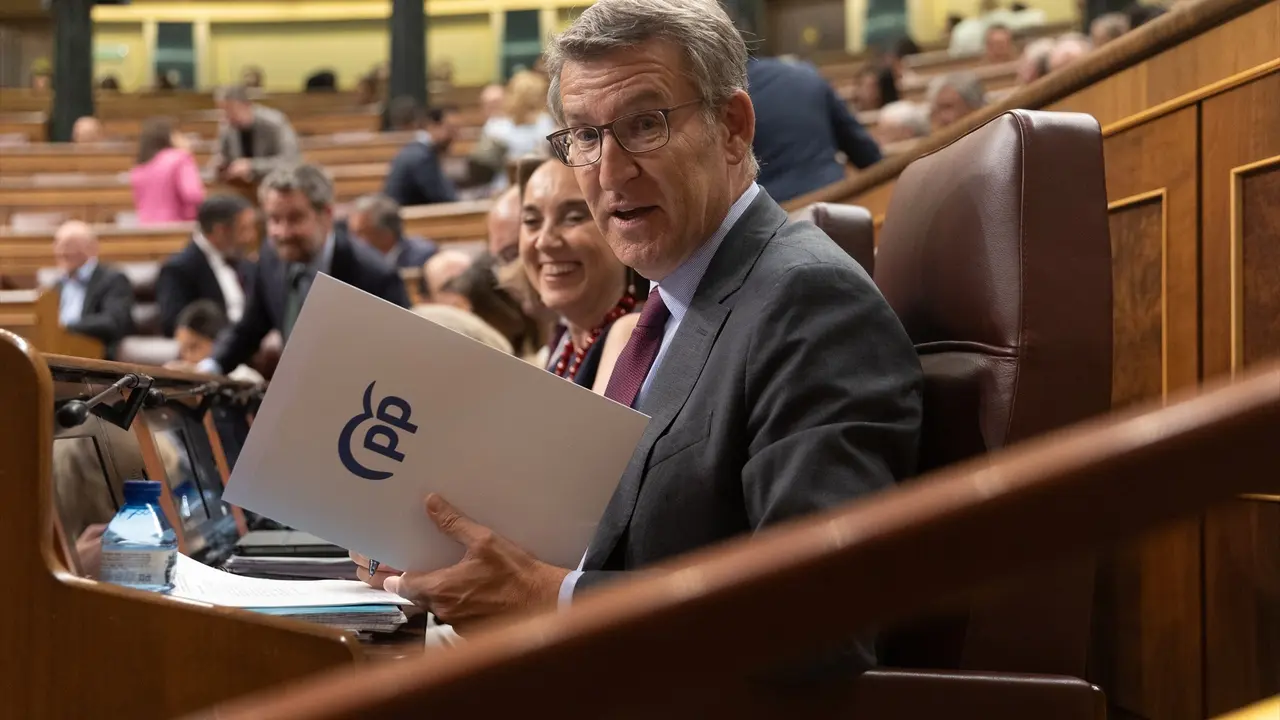 El presidente del Partido Popular, Alberto N&uacute;&ntilde;ez Feij&oacute;o. Eduardo Parra / Archivo