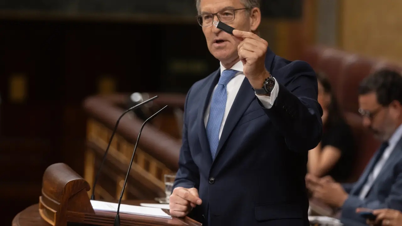 El presidente del Partido Popular, Alberto N&uacute;&ntilde;ez Feij&oacute;o. / EP