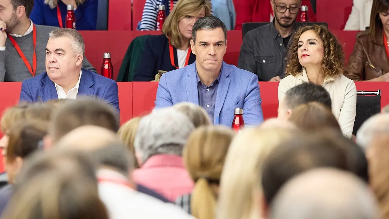 El secretario general del PSOE y presidente del Gobierno, Pedro S&aacute;nchez (c), en una reuni&oacute;n del Comit&eacute; Federal. / Jes&uacute;s Hell&iacute;n / Archivo