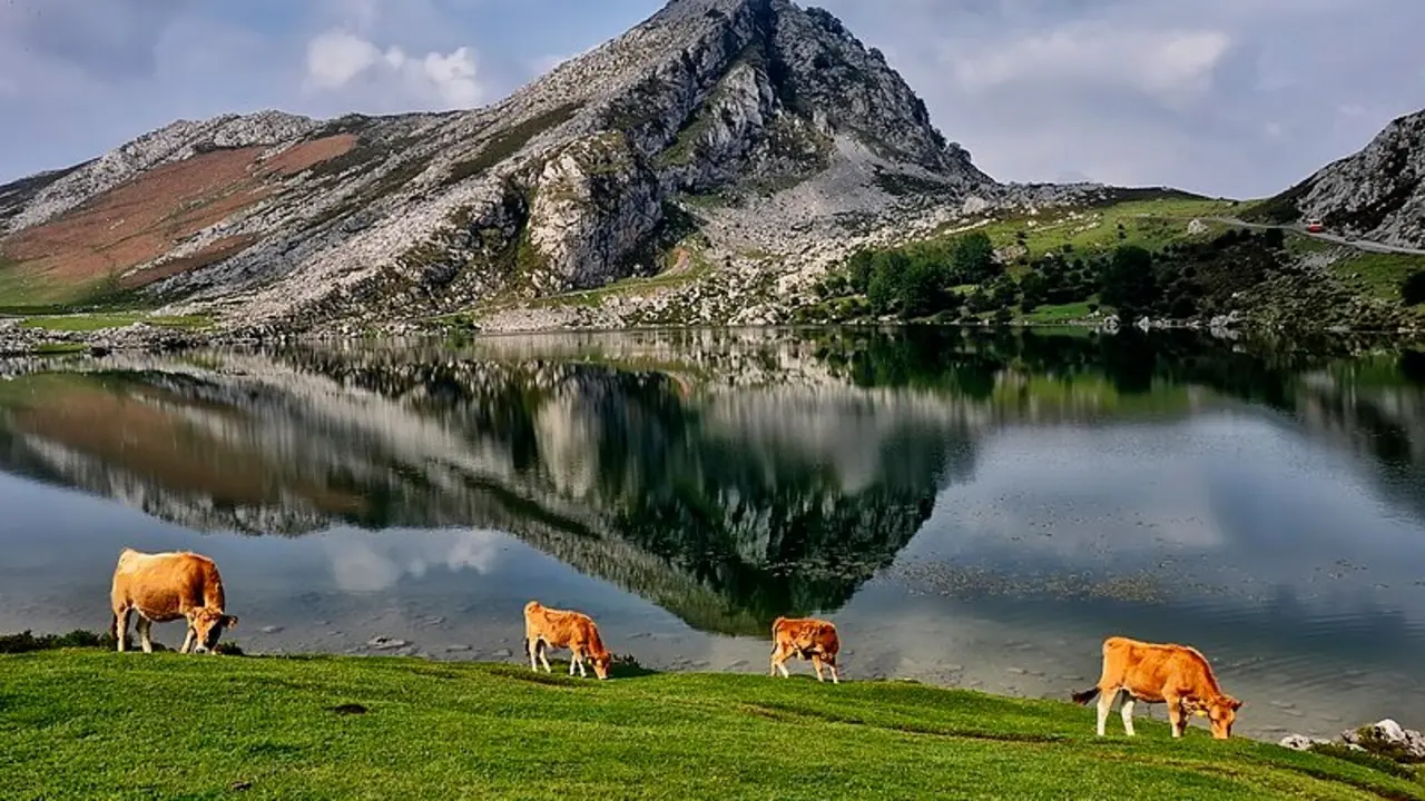 Lagos de Covadonga. / Facebook