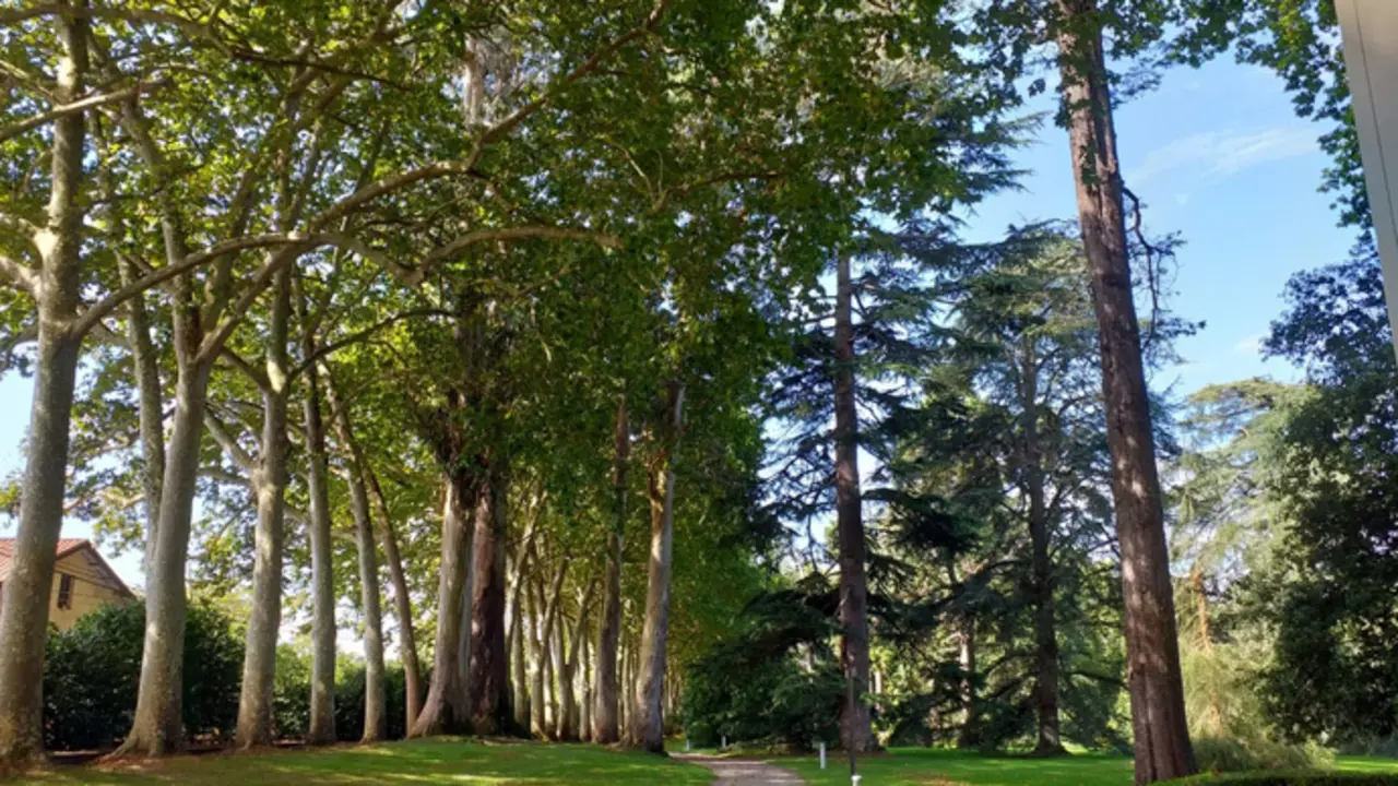Jard&iacute;n Bot&aacute;nico Atl&aacute;ntico de Gij&oacute;n. / EP
