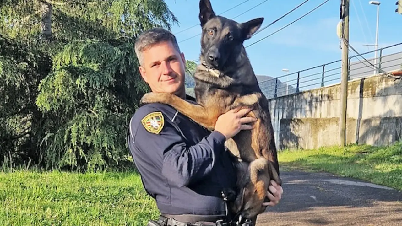 Pedro Cuadrado, Polic&iacute;a Local de Torrelavega, combina su profesi&oacute;n con su afici&oacute;n por entrenar perros. / ALERTA