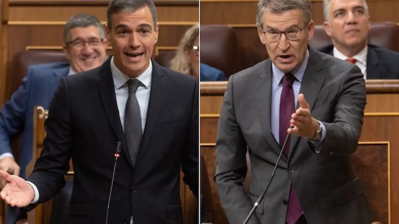 Pedro S&aacute;nchez y Feij&oacute;o durante la sesi&oacute;n de control al Gobierno en el Congreso. / EP