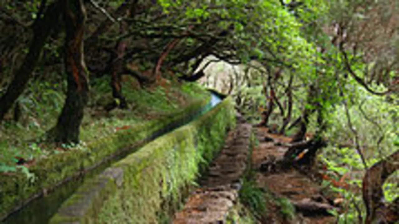Una ruta tur&iacute;stica en Madeira. / Archivo