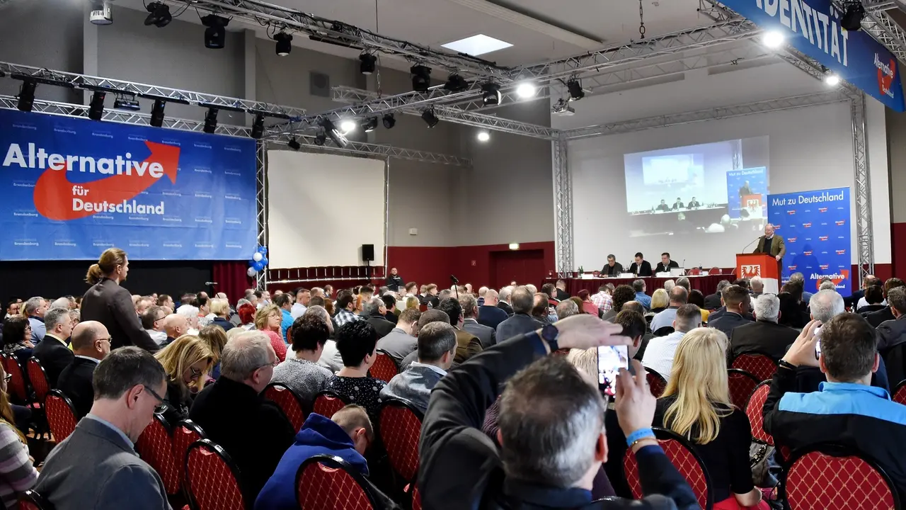 El partido AfD se presenta como una alternativa en esta elecciones. Bernd Settnik  / Archivo