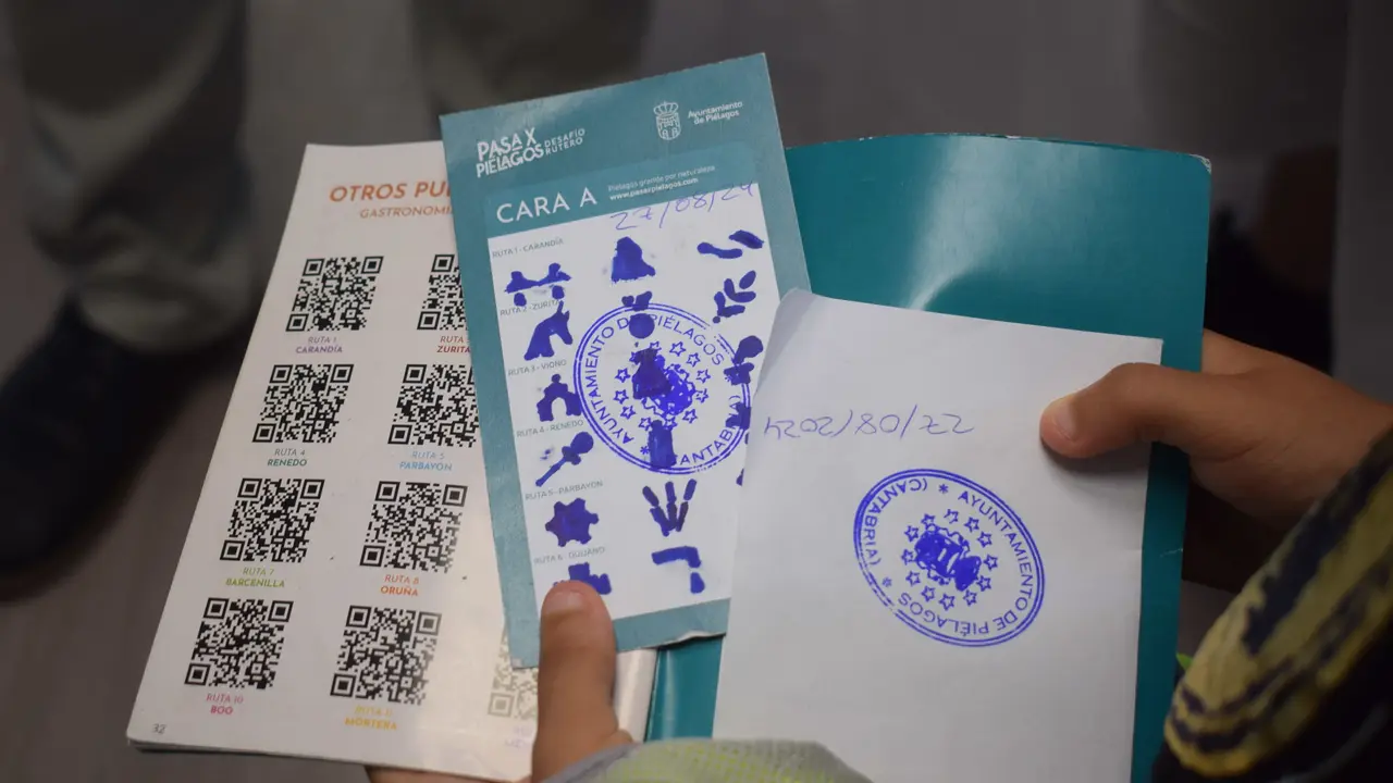Los pictogramas Rde los primeros ruteros del desaf&iacute;o  #PasaxPielagos. / Alerta