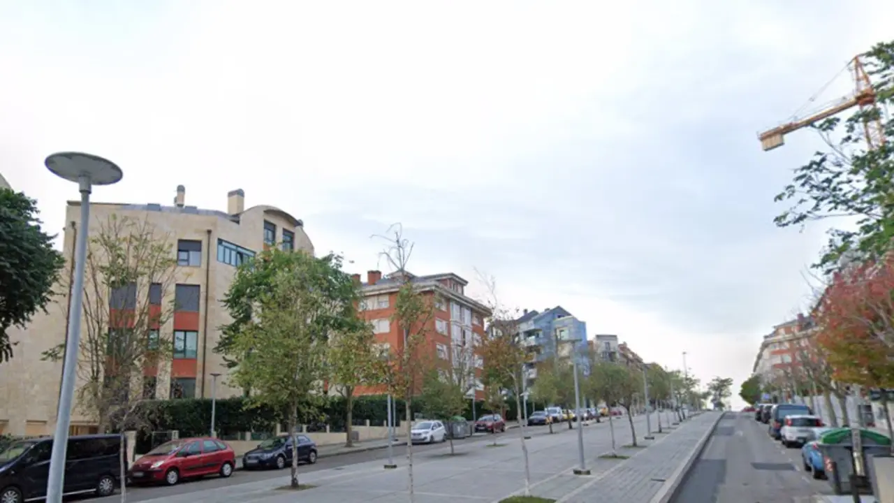 Avenida del Doctor Diego Madrazo. / Alerta