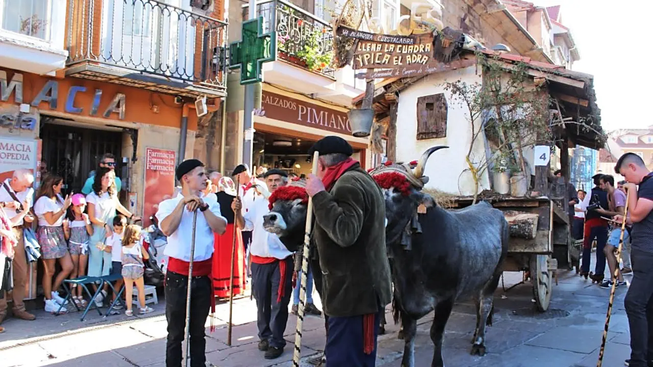 Carreta ganadora concurso Fiestas San Mateo Reinosa en una edici&oacute;n anterior. / ALERTA