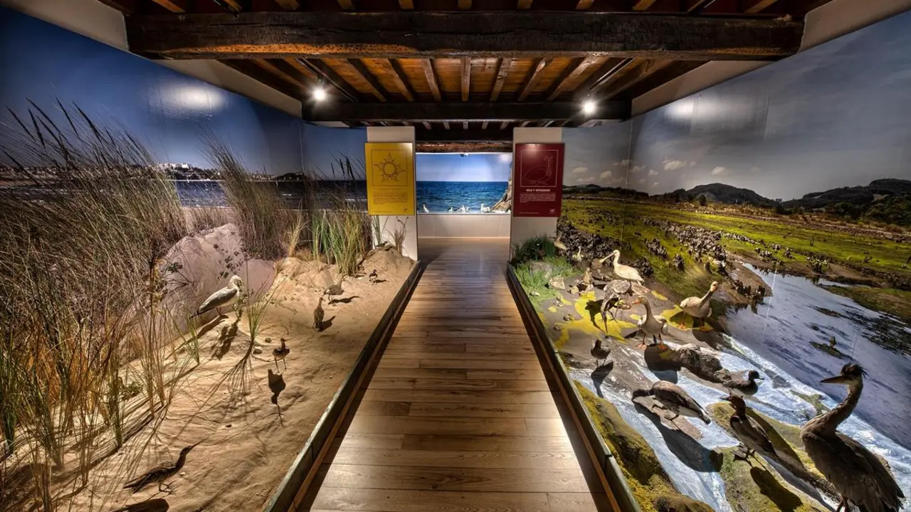 Una de las estancias del Museo de la naturaleza de Cantabria. / M.N.C.