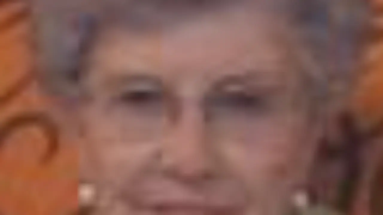 La Se&ntilde;ora Do&ntilde;a Concepci&oacute;n Fern&aacute;ndez Guti&eacute;rrez
