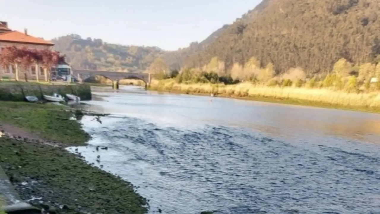 El r&iacute;o As&oacute;n a su paso por Limpias. EP / Archivo