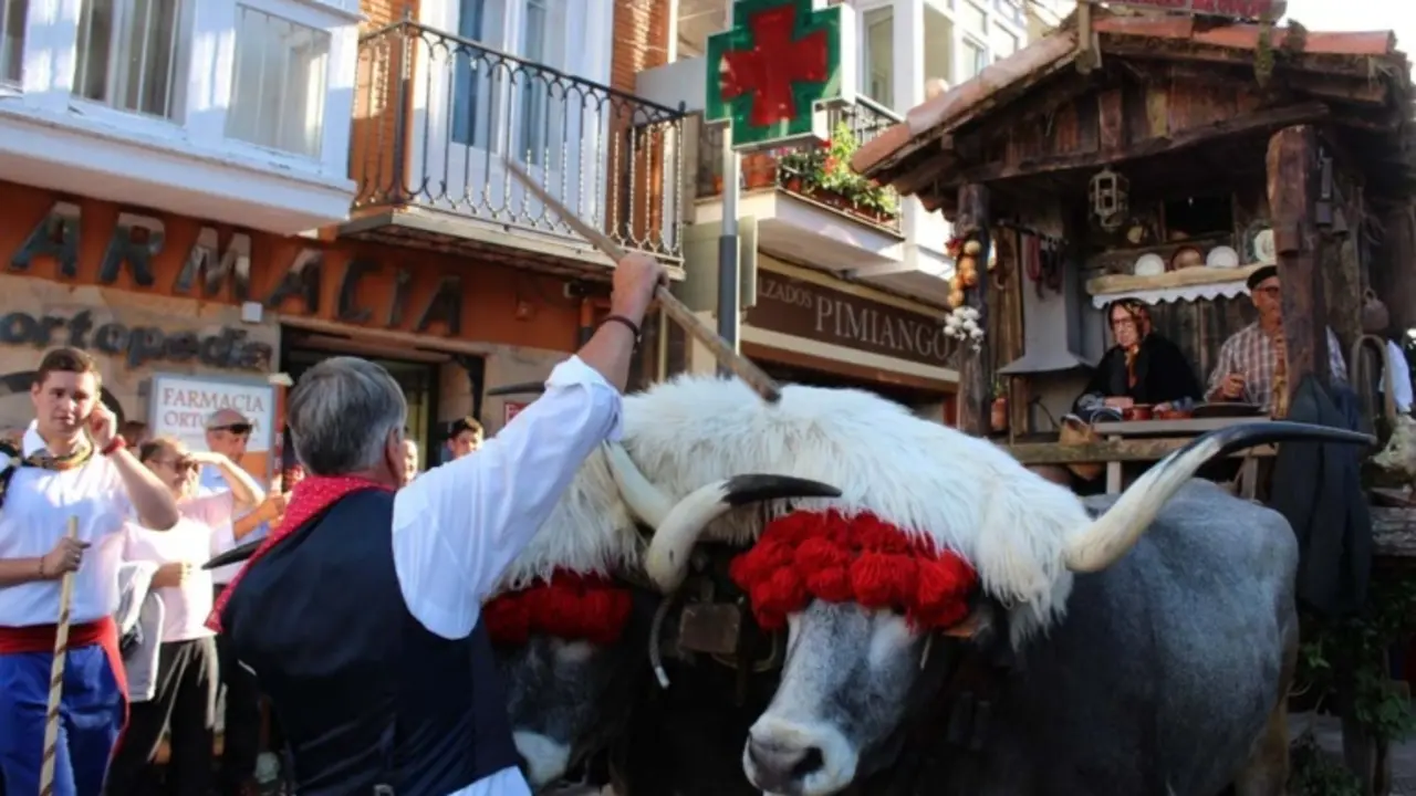 La carreta ganadora en el desfile del a&ntilde;o pasado. / Alerta