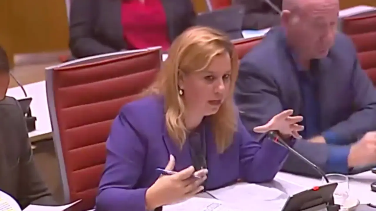 La senadora del PP y portavoz en la Comisi&oacute;n de Ciencia, Innovaci&oacute;n y Universidades del Senado, Elena Castillo, durante su intervenci&oacute;n ayer. / ALERTA