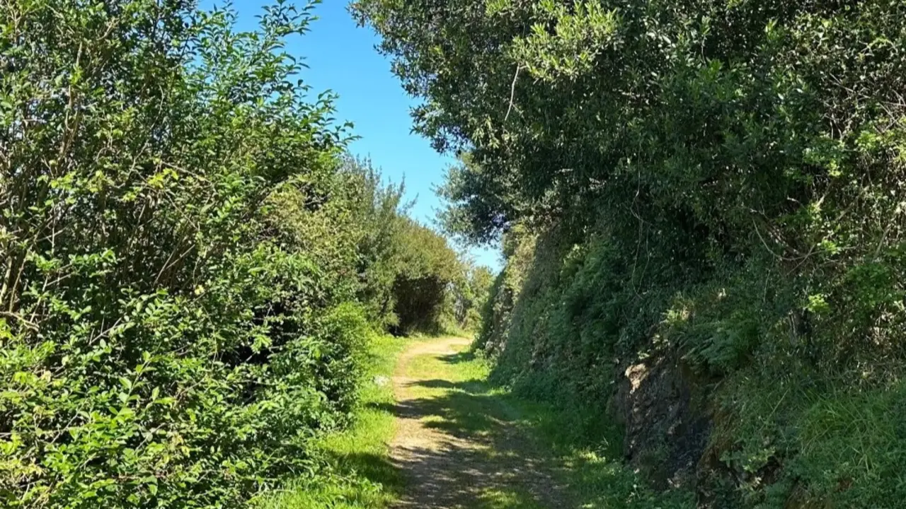 Una de las partes del sendero. / X