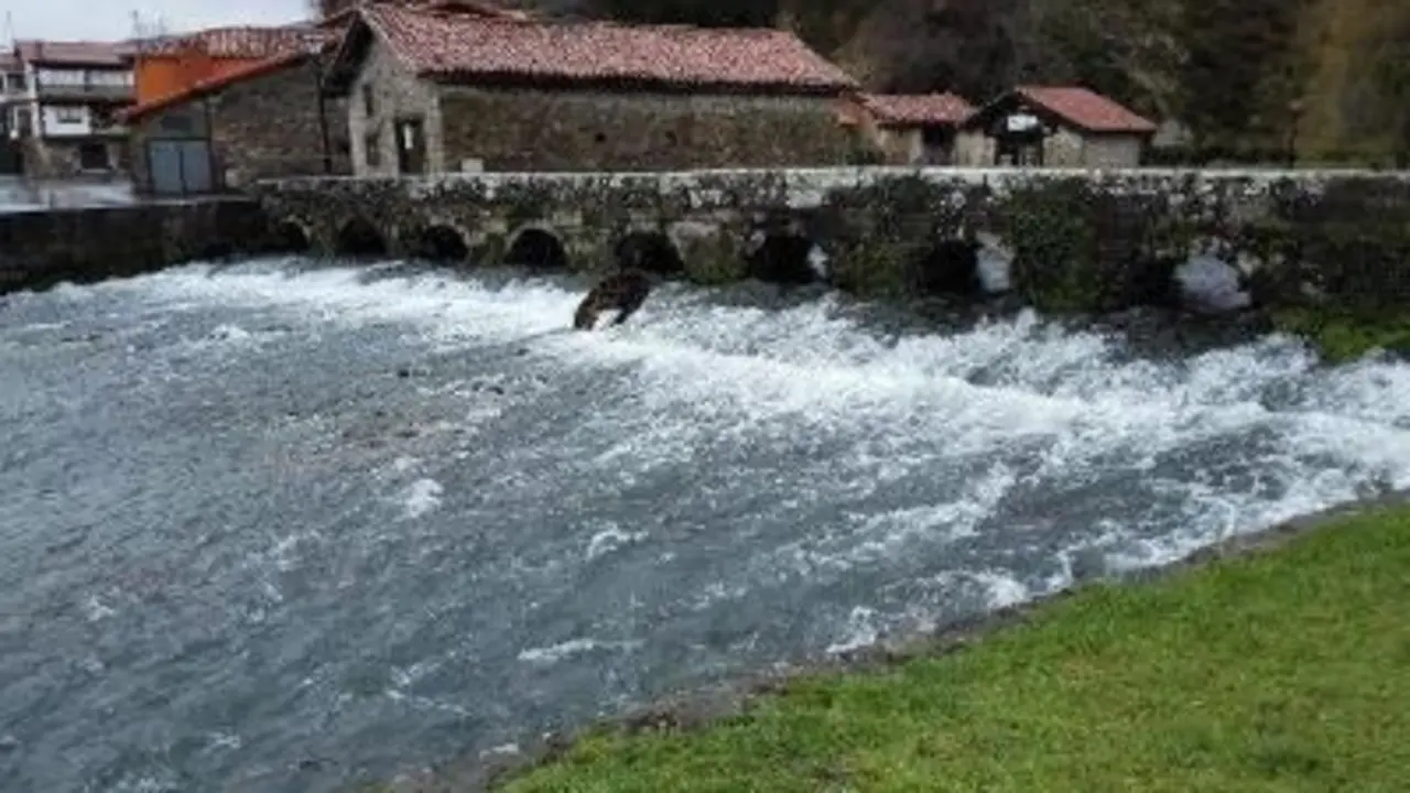 Licitada en 80.000 euros la mejora del punto de informaci&oacute;n tur&iacute;stica de Ruente. / Ayuntamiento